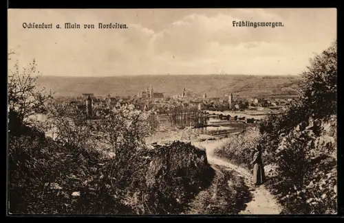 AK Ochsenfurt a. Main, Teilansicht von Nordosten an einem Frühlingsmorgen
