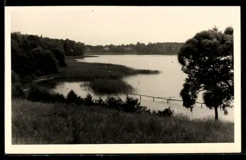 AK Lychen /UM., Badestelle am Wurlsee