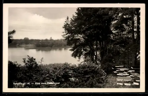 AK Templin /UM., Blick vom Kiefernnest auf den See