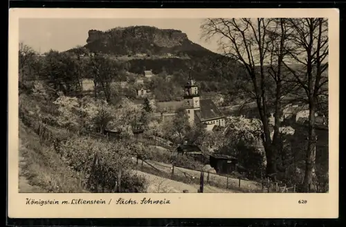 AK Königstein /Sächs. Schweiz, Lilienstein, Kirche, Ortsansicht