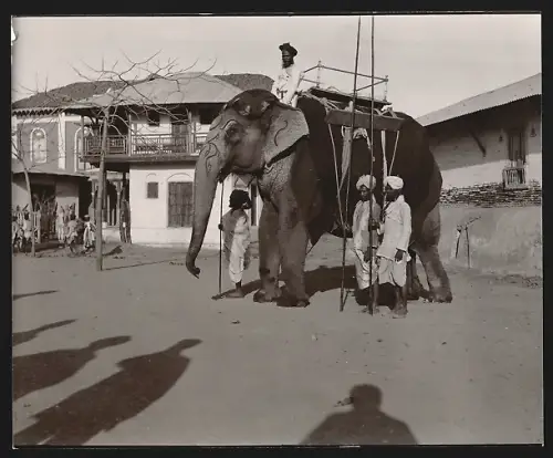 Fotografie Inder mit Elefanten samt Reitgestell auf dem Rücken, Indische Elefantenpfelger