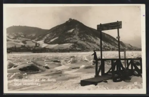 AK Wien, Der Eisstoss auf der Donau gegen den Leopoldsberg