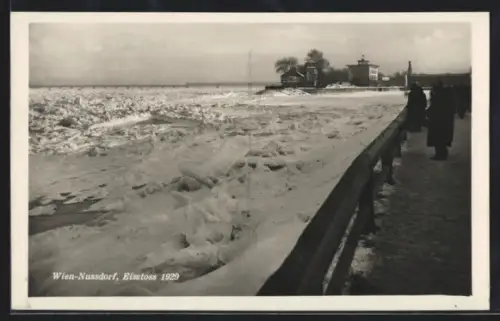 AK Wien, Nussdorf, Eisstoss 1929, Promenade am Ufer