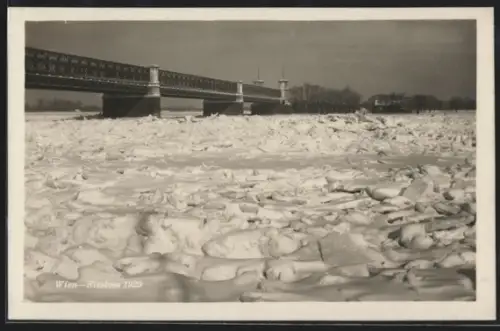 AK Wien, Eisstoss 1929, Blick auf die Reichsbrücke