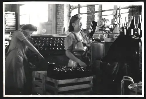 11 Fotografien Arbeiter im Weinanbau, Befüllen der Flaschen, Transport der Fässer und Auslese