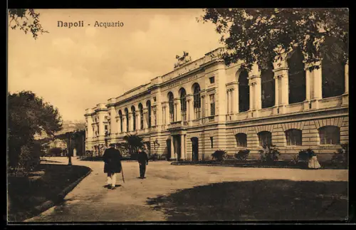 AK Napoli, Acquario