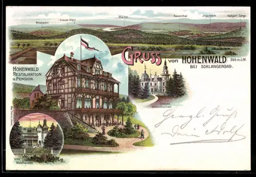 Lithographie Schlangenbad, Hotel Hohenwald, Totalansicht Wiesbaden, Mainz, Grauer Stein, Villa Waldhausen
