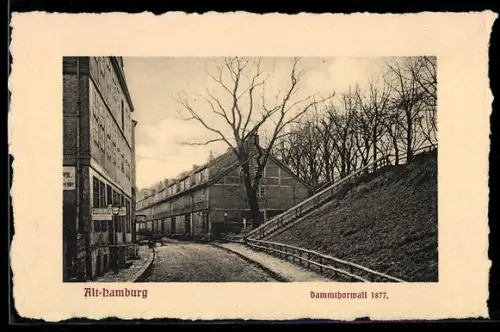 AK Alt-Hamburg, Strasse Damtorwall mit Geschäften 1877