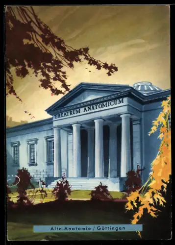 AK Göttingen, Alte Anatomie, Theatrum Anatomicum, Tourismus