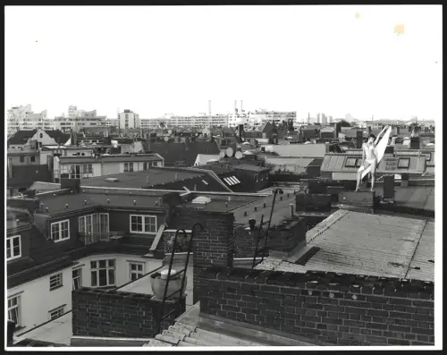 Fotografie Ansicht Berlin, Teilansicht über die Dächer der Stadt, Fernsehturm, Märkisches Viertel, Model in Reizwäsche