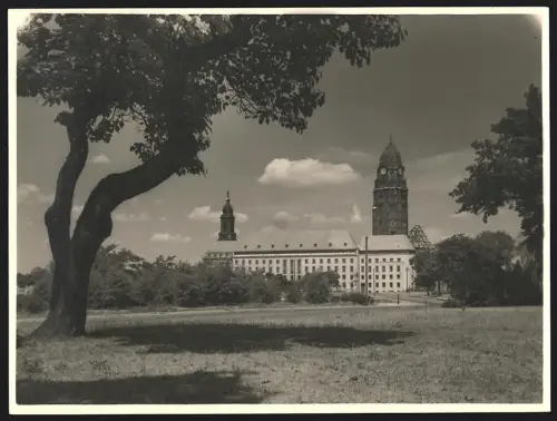 Fotografie Walter Hahn, Dresden, Wiener Str. 105, Ansicht Dresden, Das Dresdener Rathaus, Grossformat 19 x 25cm