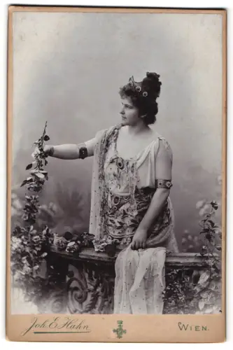 Fotografie Joh. E. Hahn, Wien, österreichische Schauspielerin Hansi Niese
