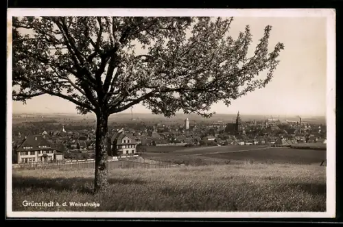 AK Grünstadt, Gesamtansicht vom Berg aus