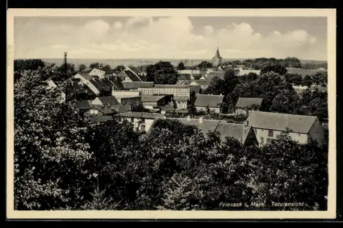 AK Friesack i. Mark, Totalansicht
