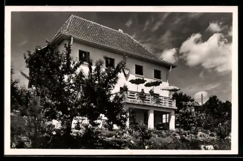 AK Wilhelmsfeld, Café und Pension Hermann`s Ruhe, Inh. H. Bothe, Gartenansicht