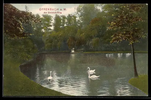 AK Offenbach a. M., An Dreieich-Ring, Teich mit Schwänen