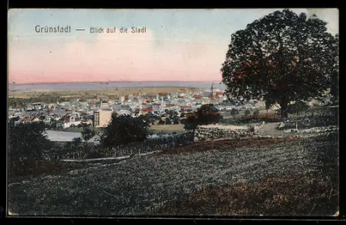 AK Grünstadt, Blick auf die Stadt