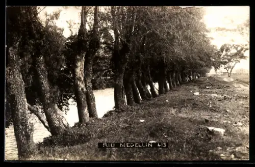 AK Medellin, Baumreihe am Flussufer