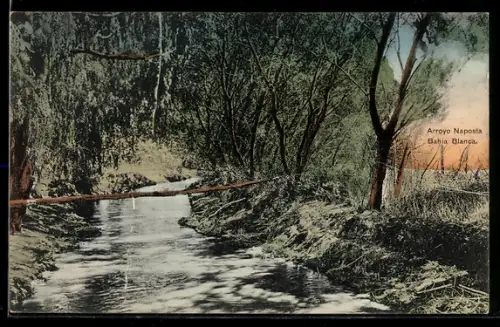 AK Bahia Blanca, Arroyo Naposta
