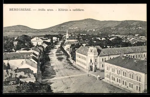 AK Beregszász, Atilla utca, Kilátás a szölökre