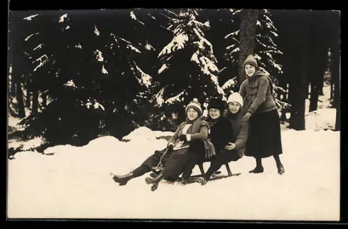 Foto-AK Damen auf einem Schlitten