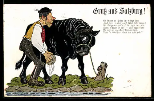 AK Salzburg, Mann wäscht mit dem Schwamm den Rücken eines Stiers