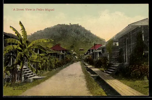 AK Pedro Miguel, Vista de una Calle