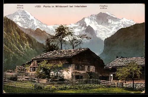 AK Wilderswil, Hausansicht mit Jungfrau und Mönch