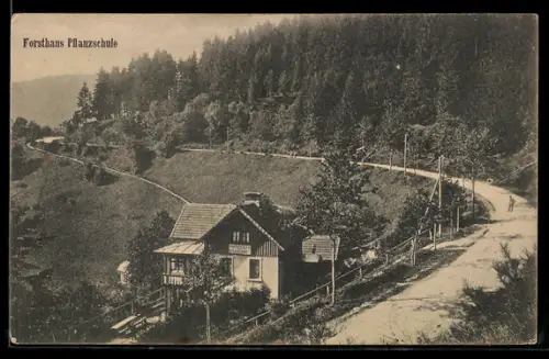 AK Markirch, Forsthaus Pflanzenschule