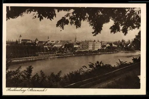 AK Radkersburg, Panorama der Stadt vom Waldrand aus