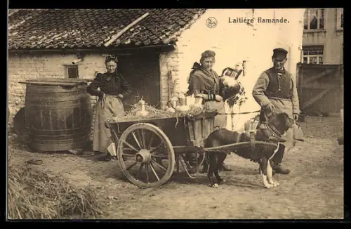AK Laitiere flamande, Bauer mit Hundegespann