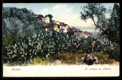 AK Peleka, Vue générale