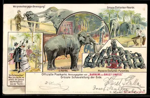 Lithographie Barnum and Bailey Limited, Zirkuselefanten
