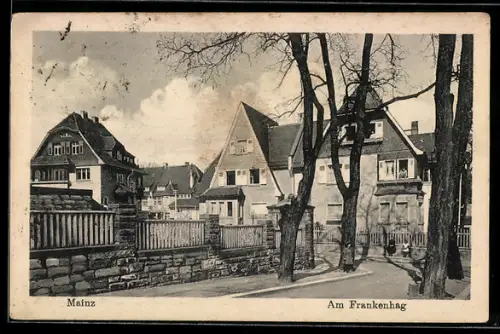 AK Mainz, Strasse am Frankenhag