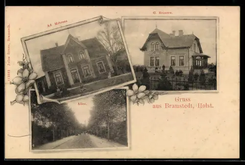 AK Bramstedt /Holst., Hotel-Pensionen Ad. Mehrens und G. Reimers, Allee