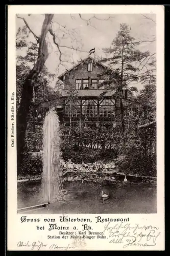 AK Heidesheim / Rhein, Restaurant Uhlerborn