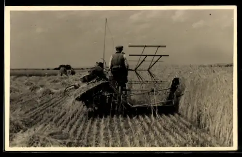 Foto-AK Getreidernte mit landwirtschaflichen Gerät