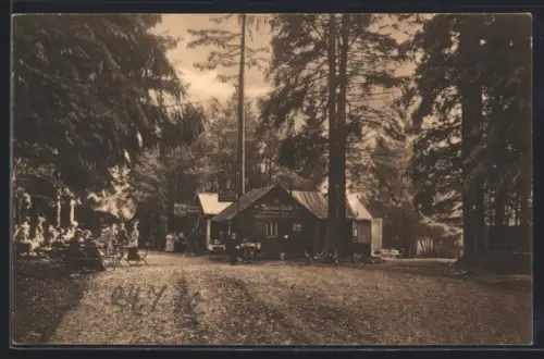 AK Königstein / Taunus, Wald-Café Fuchstanz