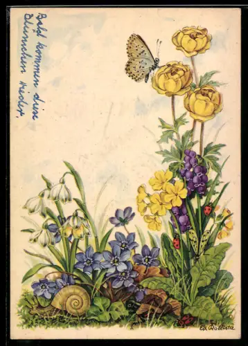 Künstler-AK Kallista: Schnecke, Schmetterling und Marienkäfer auf einer Blumenwiese