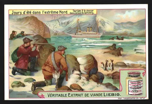 Sammelbild Liebig, Jours d`été dans l`extrême Nord, Touristes à la chasse dans une baie du Spitzberg