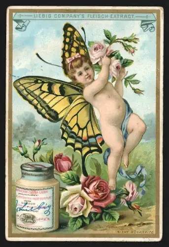 Sammelbild Liebig, Kleine Elfe mit Schmetterlingsflügeln und Rosen