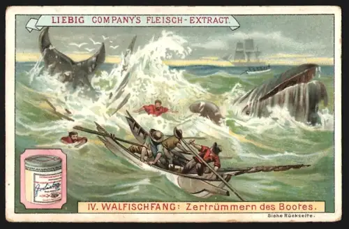 6 Sammelbilder Liebig, Serie Nr. 545: Walfischfang, Wal in Sicht, Thrankochen an Bord, Harpunieren