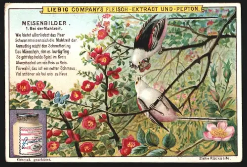 6 Sammelbilder Liebig, Serie Nr. 598: Meisenbilder, In der Not, beim Nestbau, auf dem Herbstzuge