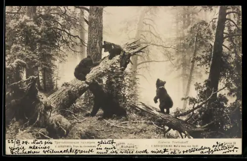Künstler-AK sign. I. Schischkin, Junge Bären im Wald