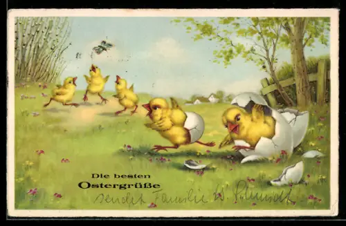 AK Kleine Osterküken schlüpfen aus den Eiern