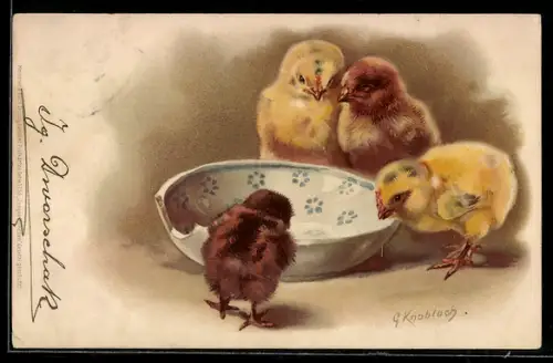 Lithographie Osterküken an der Tränke