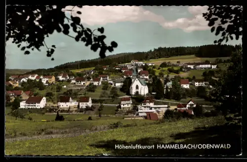 AK Hammelbach /Odenwald, Teilansicht mit Kirche