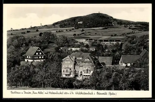 AK Waldkatzenbach, Gasthaus u. Pension Zum Adler mit Katzenbockel