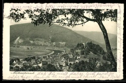 AK Neckarsteinach, Teilansicht mit Kirche