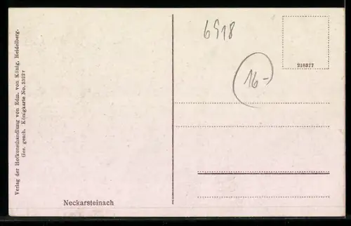 AK Neckarsteinach, Totalansicht